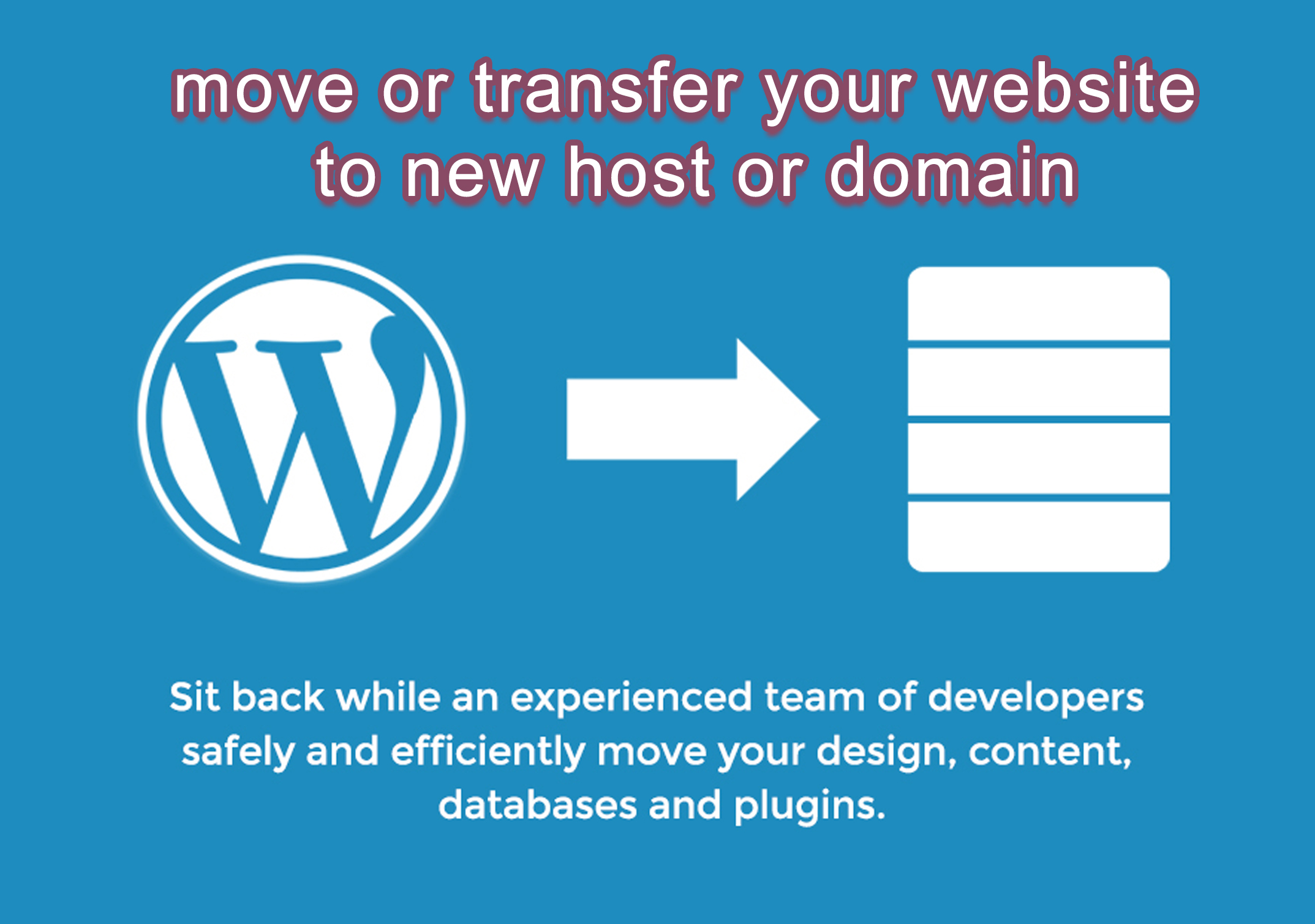 move or transfer your website to new host or domain for $15 - SEOClerks