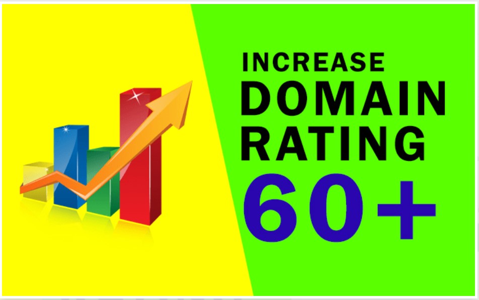 check domain rating