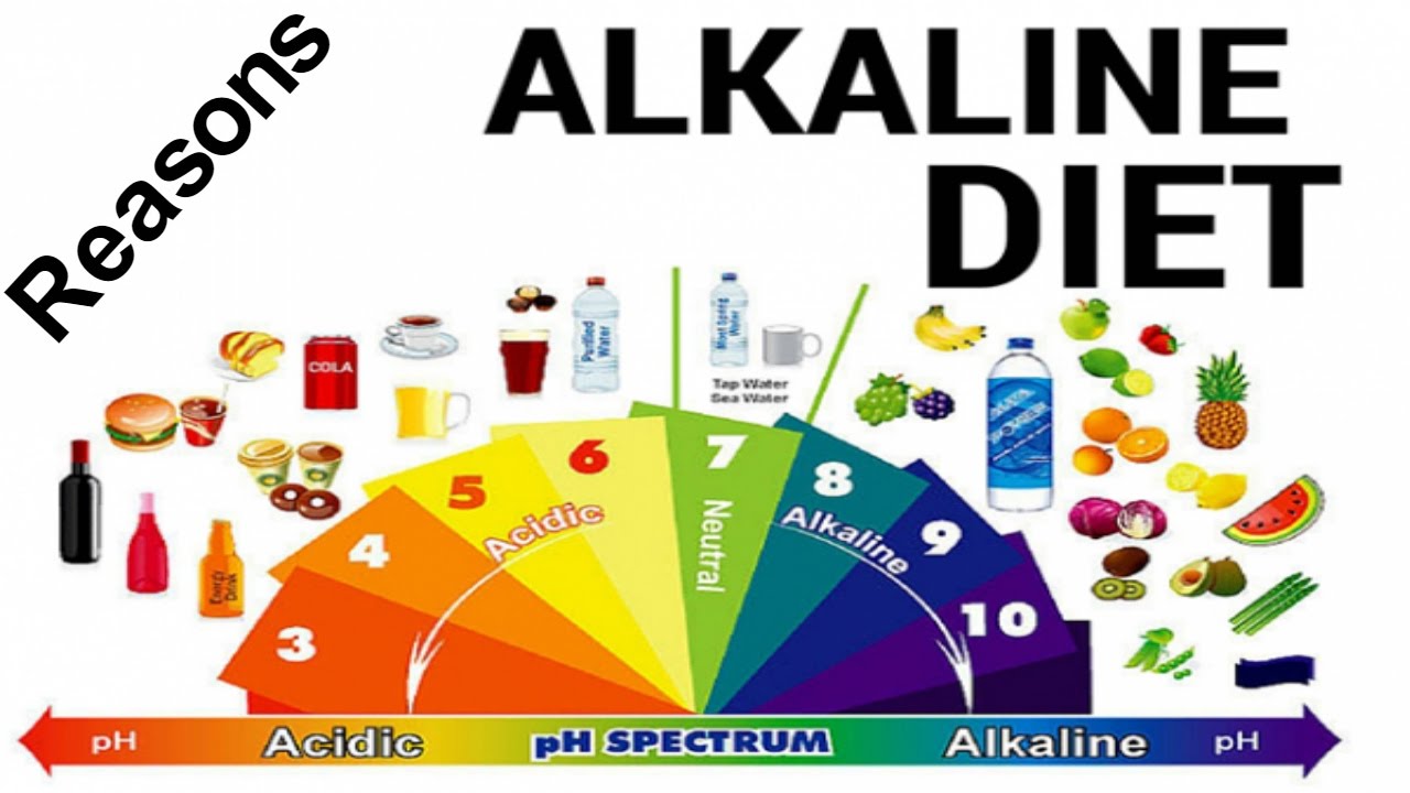 195 Alkaline Diets With Pictures And Descriptions For $5 - SEOClerks