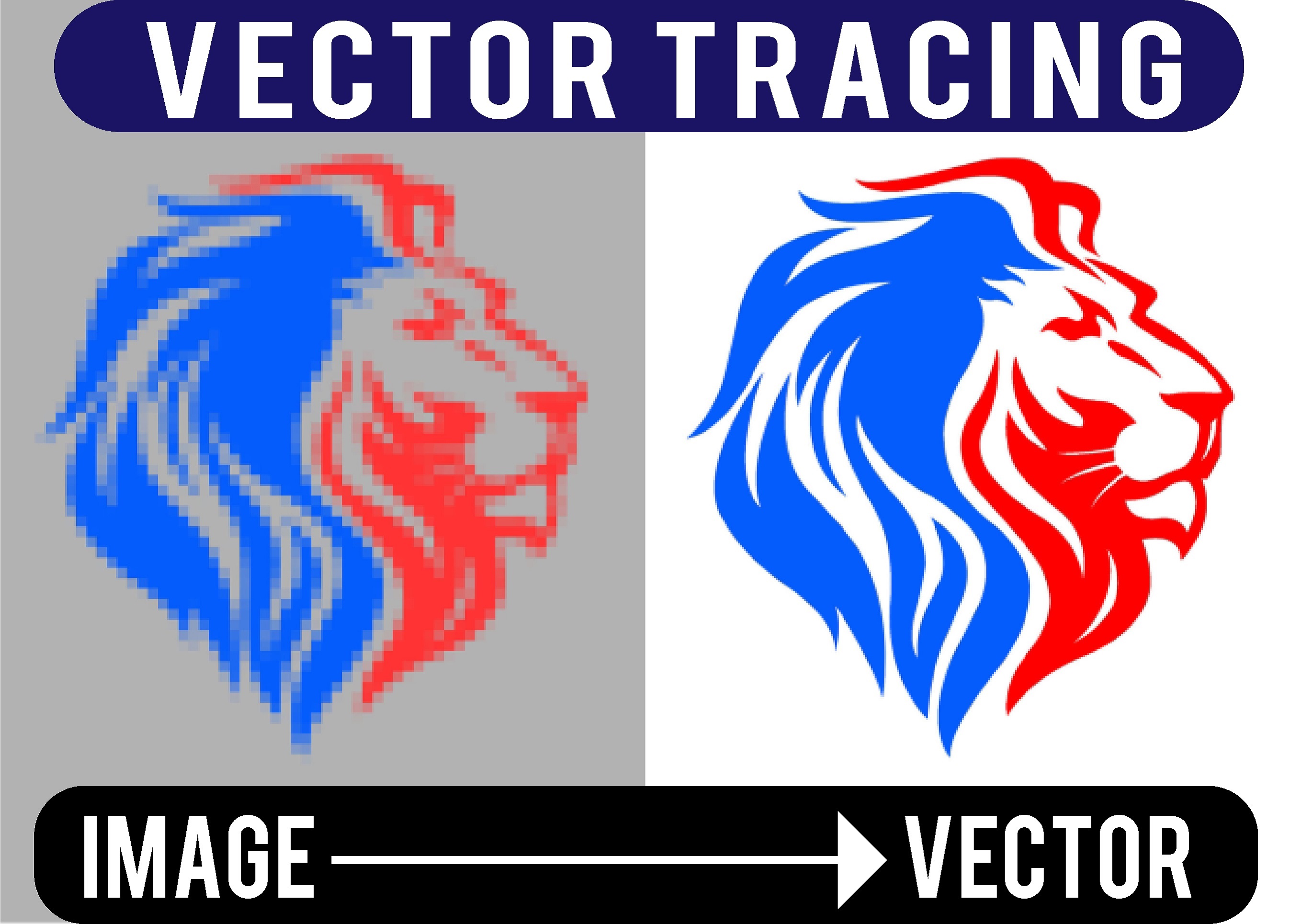 Vector Tracing On Image Or Logo, Vector Trace, Redesign, Vectorise for