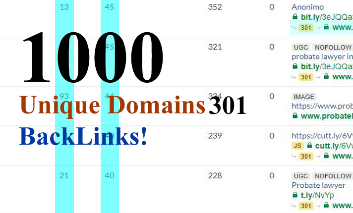 1000 Unique Domain Contextual Redirect SEO Backlinks