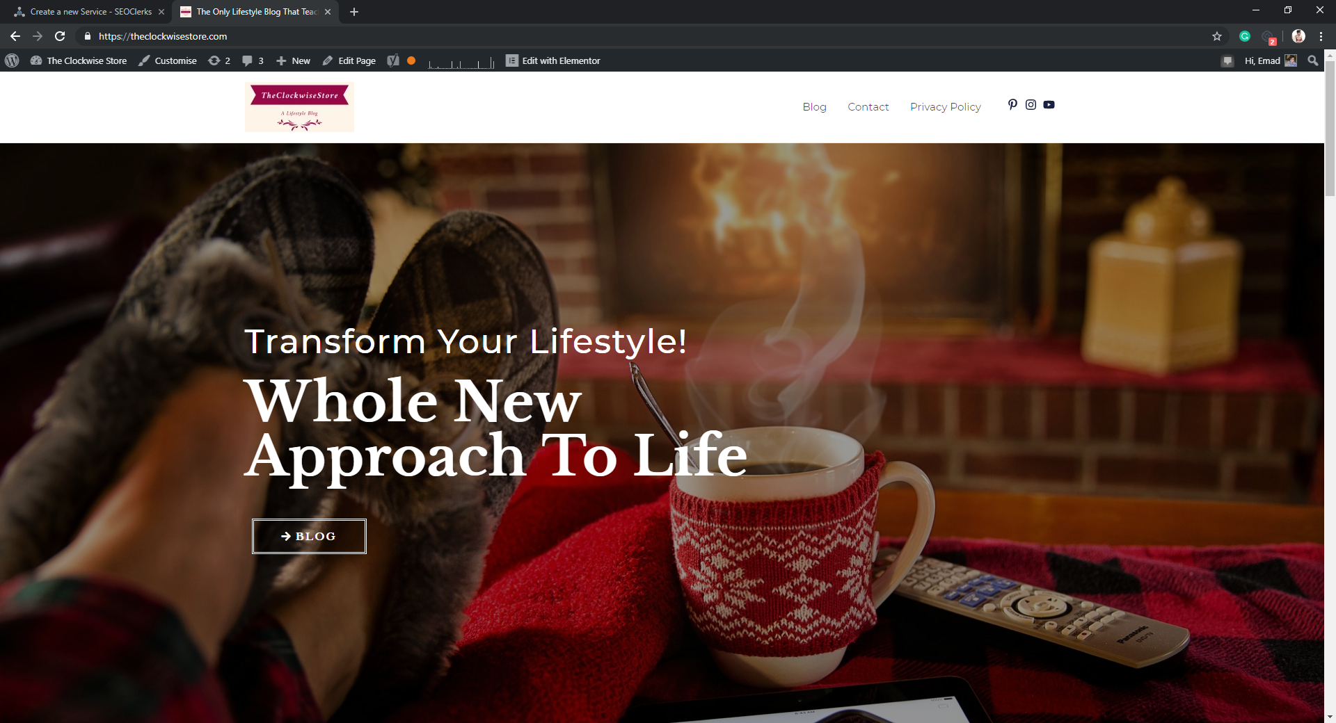 make-an-amazing-cool-looking-homepage-in-wordpress-for-5-seoclerks