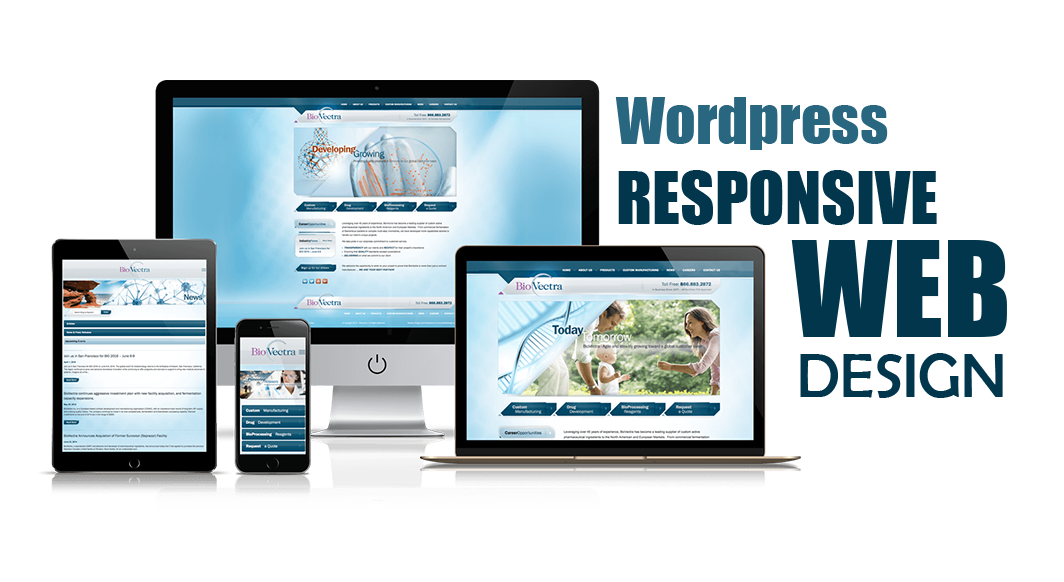 Create beautiful wordpress website or design wordpress site, Modern