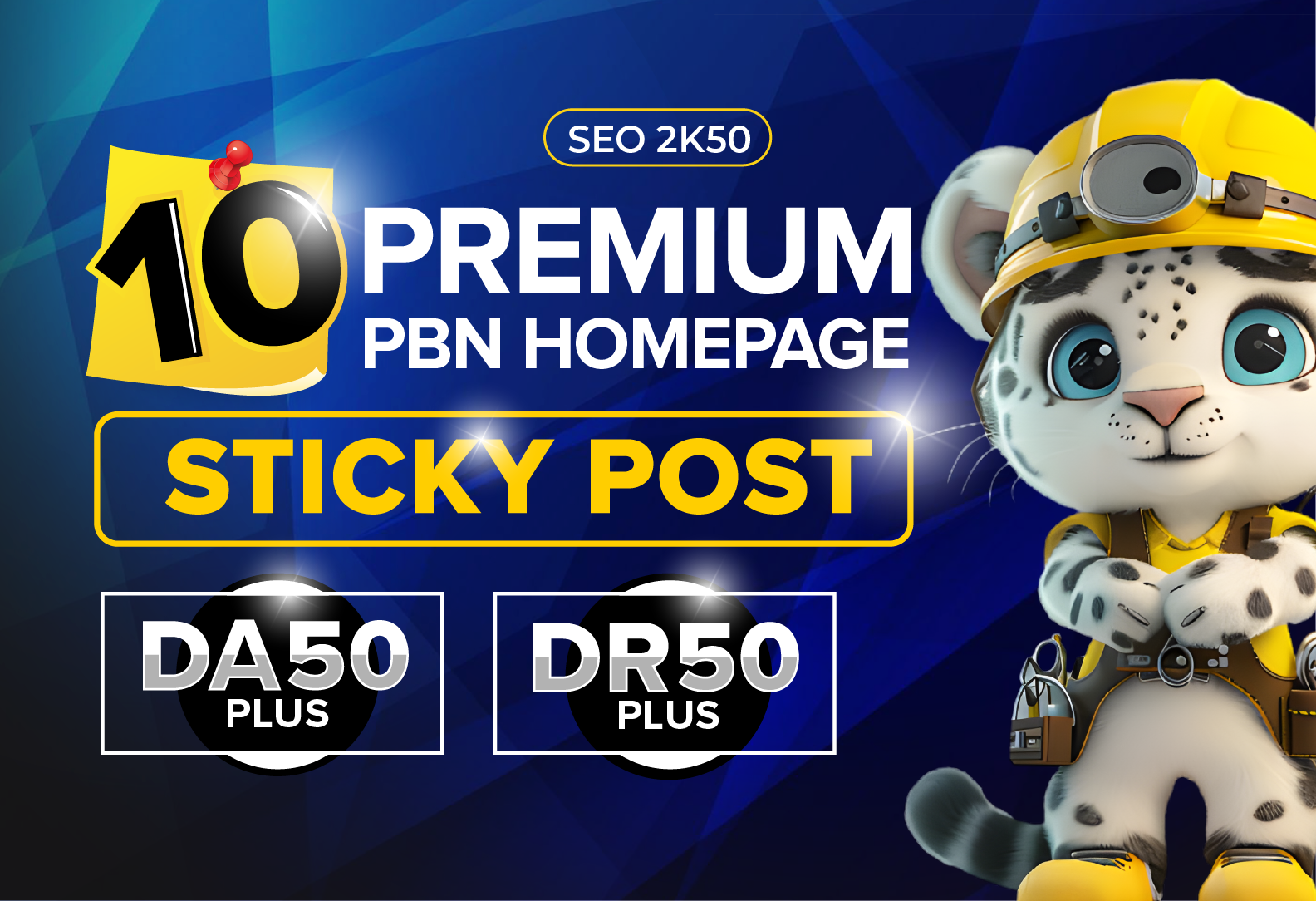 BUILD 10 PBN HOMEPAGE STICKY POST HIGH DR/DA 50 PLUS DOFOLLOW BACKLINKS