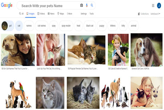 Google image SEO, show your pets image on google 1 page