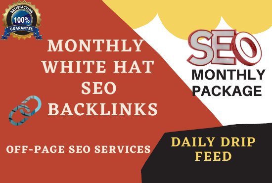 I will elevate your website ranking, monthly SEO Services