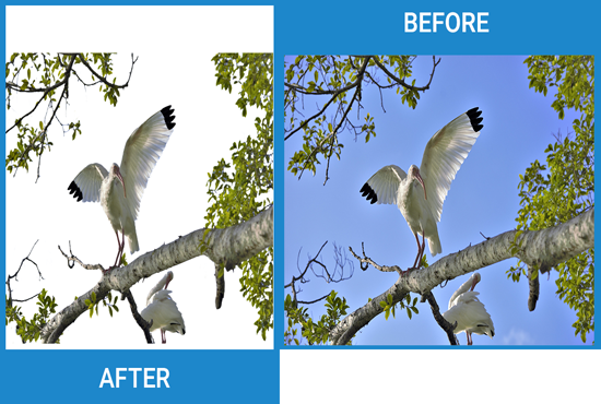 I will remove complex background from 3 images. for $1 - SEOClerks