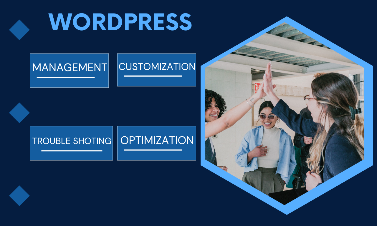 Manage update, maintain, fix, optimize wordpress website