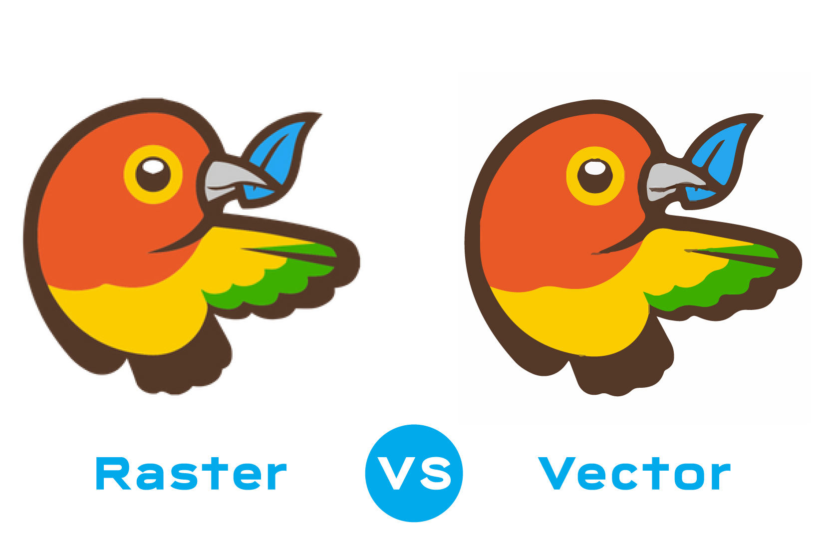 convert raster to vector cartoon