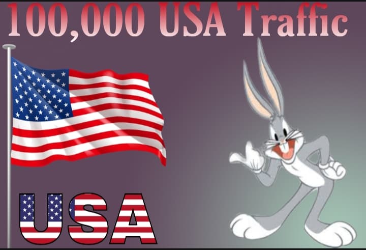 i will send 100,000 USA Target Traffic 