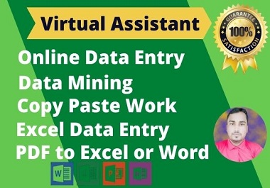 I will do virtual assistant for data entry,data mining,copy paste