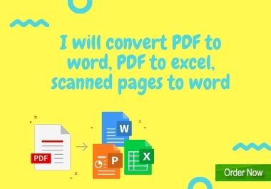 I will convert pdf to word, pdf to excel, scanned pages to word