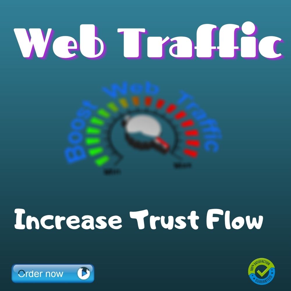 I will drive real organic web traffic