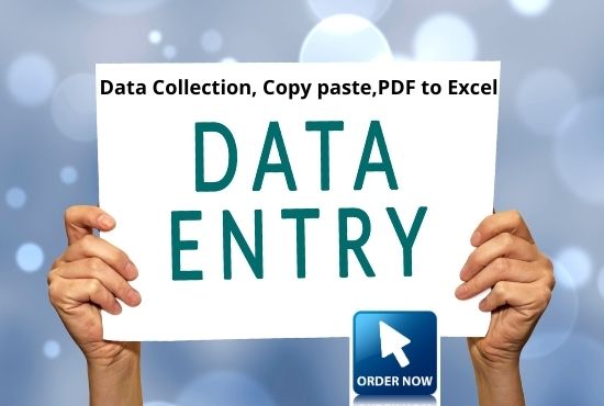 I will do your Data entry, Copy and paste and web research