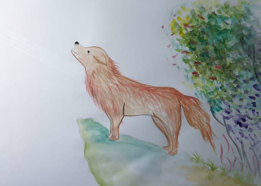 watercolor children book illustrations