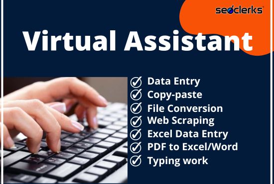 I will be your virtual assistant for 5 hrs data entry, copy paste, file conversion & typing work