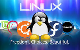 I support Linux and Network support, so you give one chance then I give good service 