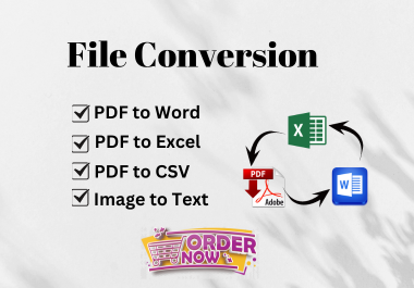 I will convert PDF TO Word, PDF to CSV, PDF to Excel and Any kind of conversion