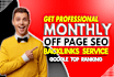 I Will Provide Complete Monthly Off-Page SEO Services with High-Quality Backlinks