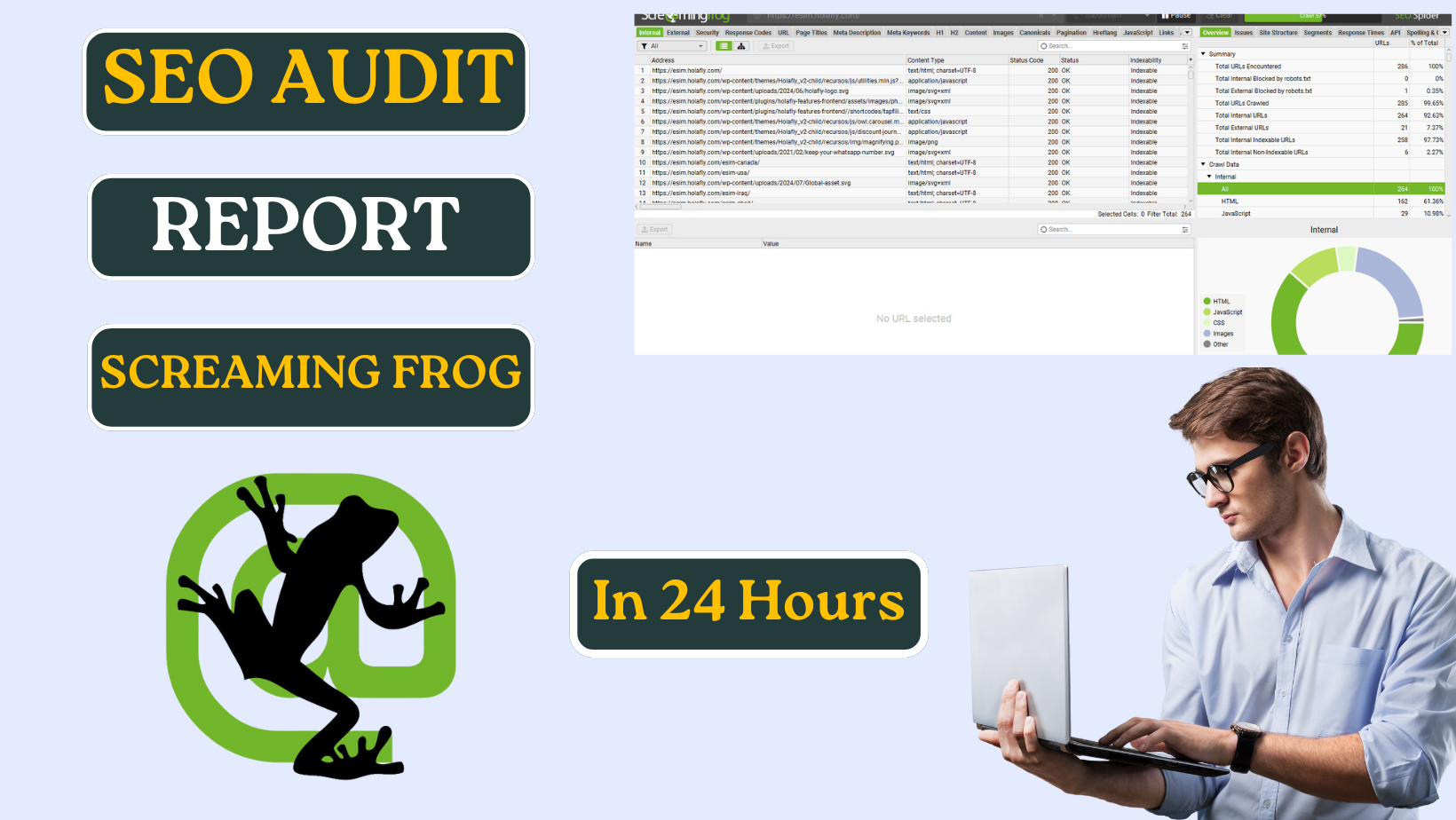 I will perform a Screaming Frog Technical SEO Audit and Website Analysis