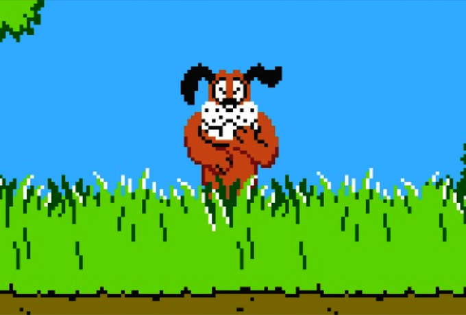 will make you the Dog main character in Duck Hunt game just for $5 ...