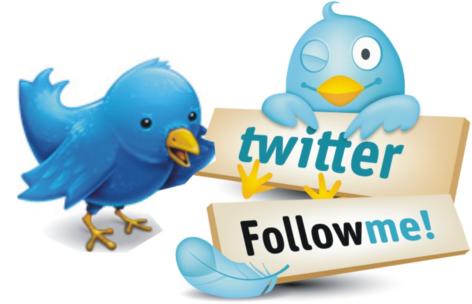 i-will-add-you-715-australia-real-twitter-followers-withen-13-hrs-for