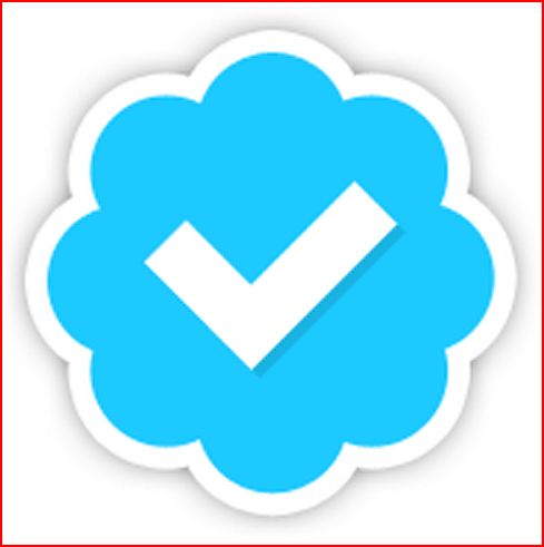 In less than 48 hours I will send shoutout from verified telling TWITTER to verify you