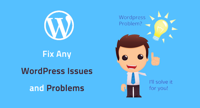 Fix Your WordPress Issues or WordPress Errors