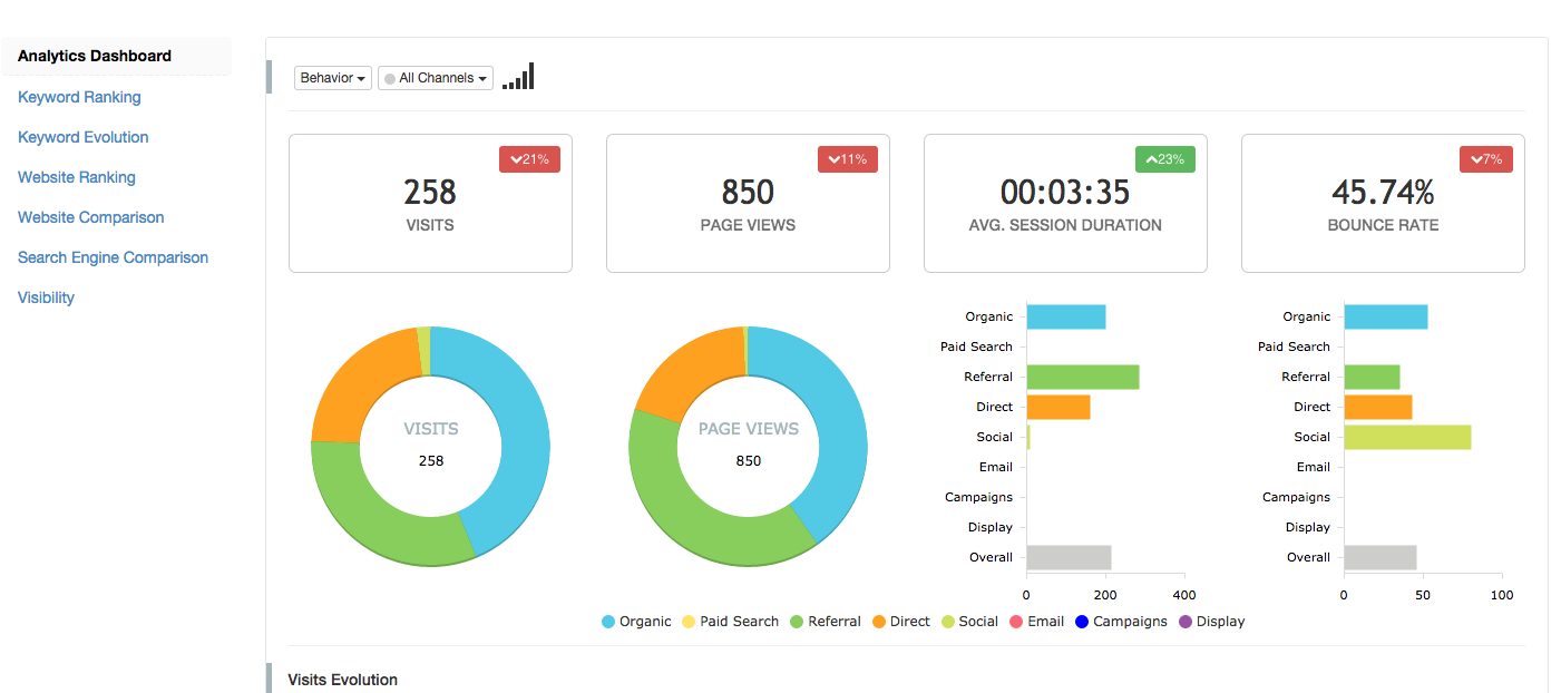 Количество seo. SEO отчеты. Отчет SEO сайта. SEO Аналитика отчёт. SEO Analysis Report.