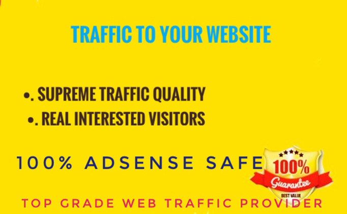 Provide USA Targeted Traffic To Your Website for $5 - SEOClerks