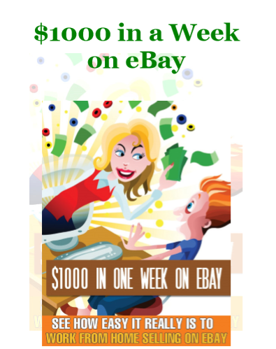 Earn 1000 In A Week On eBay How To Become A Top Seller Guide for $1 - SEOClerks