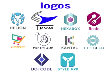 I will do professional logo designs