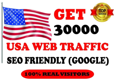 I Will give you 30,000 USA Traffic hits on your website