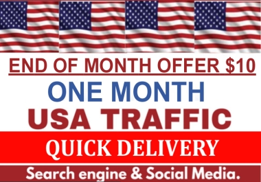 30 Days Real Organic USA Targeted Website Visitors Traffic - Month End Offer