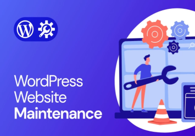 WordPress Maintenance in 24 Hours &ndash Premium Support Guaranteed