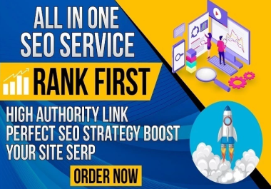 All In One website page Ranking Services 2024- Ranking Guarantee with SEO