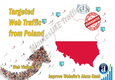 Polish web visitors real targeted Organic web traffic from Poland