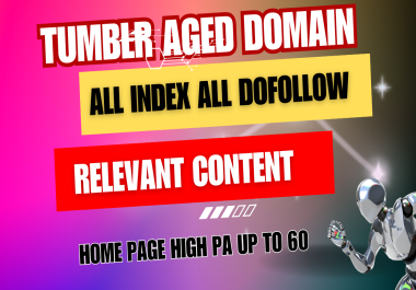 i will make 10 tumblr Aged domain Real SEO home page PA 30 up to 60