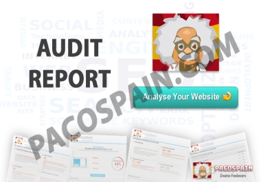 Audit Report – Website SEO Analysis