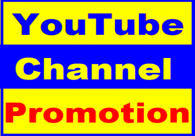  Channel Subscribers Promotion Within 36 Hours Complete