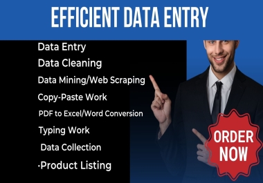 Most Accurate & Efficient Data Entry, Copy Paste, Web Research Services 