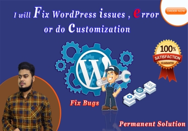 I will fix WordPress issues,  error or do customization