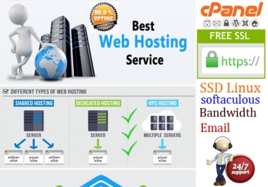 Web Hosting cPanel SSL + Softaculous 400 Apps For 30 Days - Pay Monthly $1