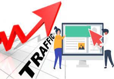 Drive organic 60,000 Web Traffic from Search Engine & Social Media 30 Days only bizianseo