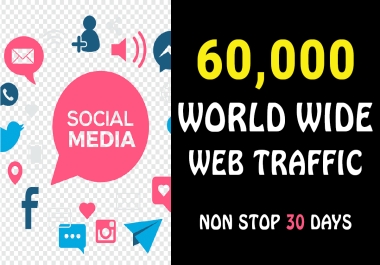 Drive organic 60,000 Web Traffic from Search Engine & Social Media 30 Days only bizianseo