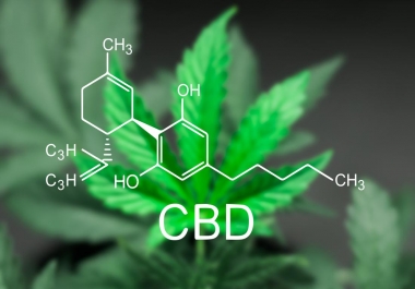 I will write 500 words high quality cbd content