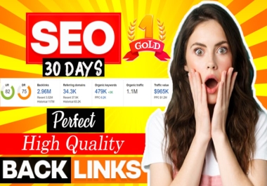 I will provide a perfect monthly SEO dofollow backlinks