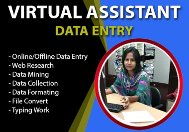 I will be your virtual assistant for data entry and others work