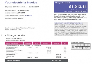 I will do product listing invoices data entry