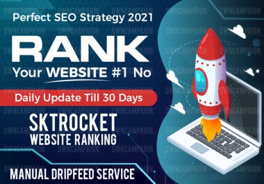 Rank Your Website on Top, Google With 10 Days Dripfeed SEO Backlinks Manual Work